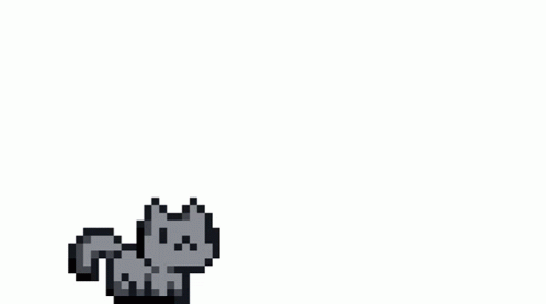 cat jump