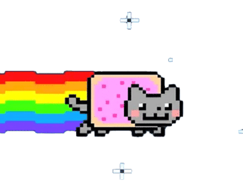 Rainbow Cat Running